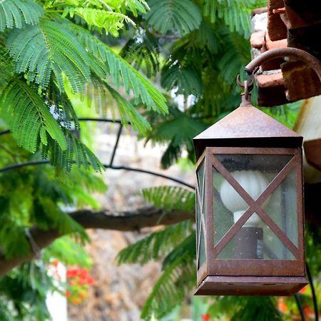 Romantic Hamlet Cottage With Private Pool La Fragua De Eliseo 坎德拉里亚 外观 照片