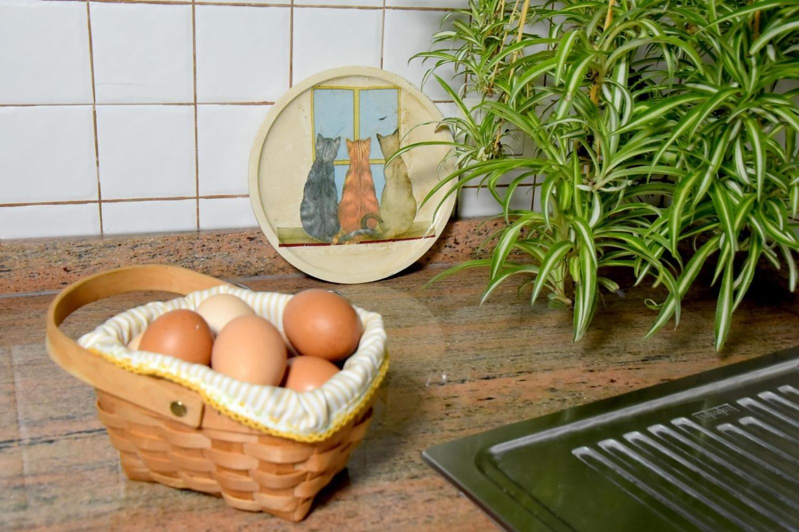 Romantic Hamlet Cottage With Private Pool La Fragua De Eliseo 坎德拉里亚 外观 照片