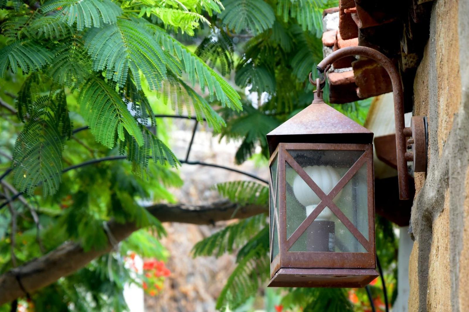 Romantic Hamlet Cottage With Private Pool La Fragua De Eliseo 坎德拉里亚 外观 照片